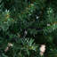 Lighted Artificial Christmas Tree-711130578