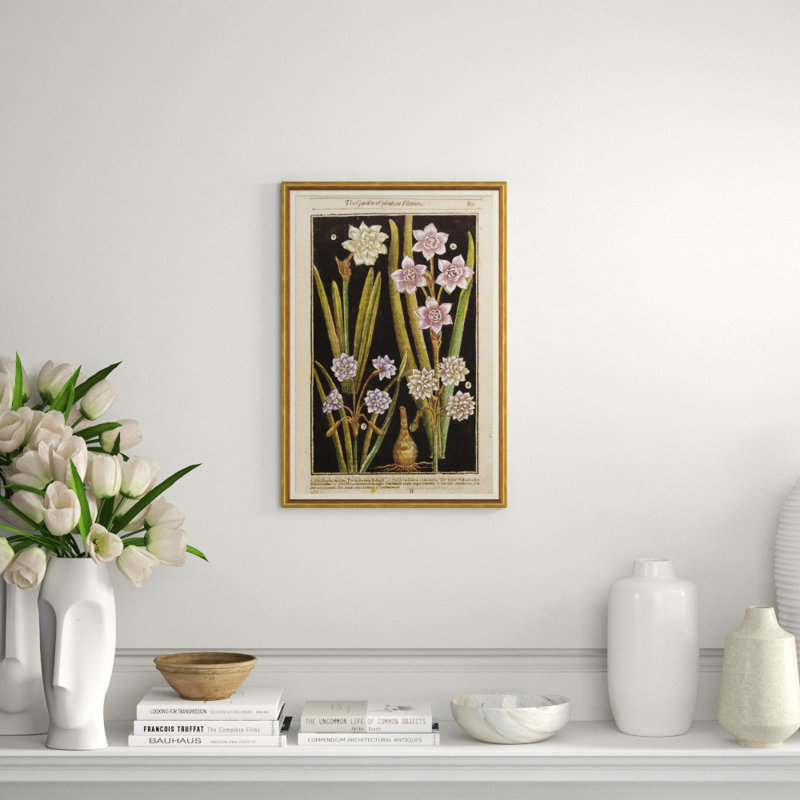 Botanicals Giclee Print by Soicher Marin Archives
