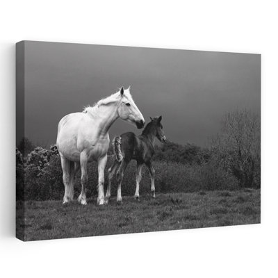 Jument et poulain Co Derry, Irlande, cheval contemporain, art animalier