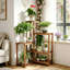 Saroyan Plant Stand