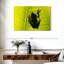 Grenouille sur feuille-99972574