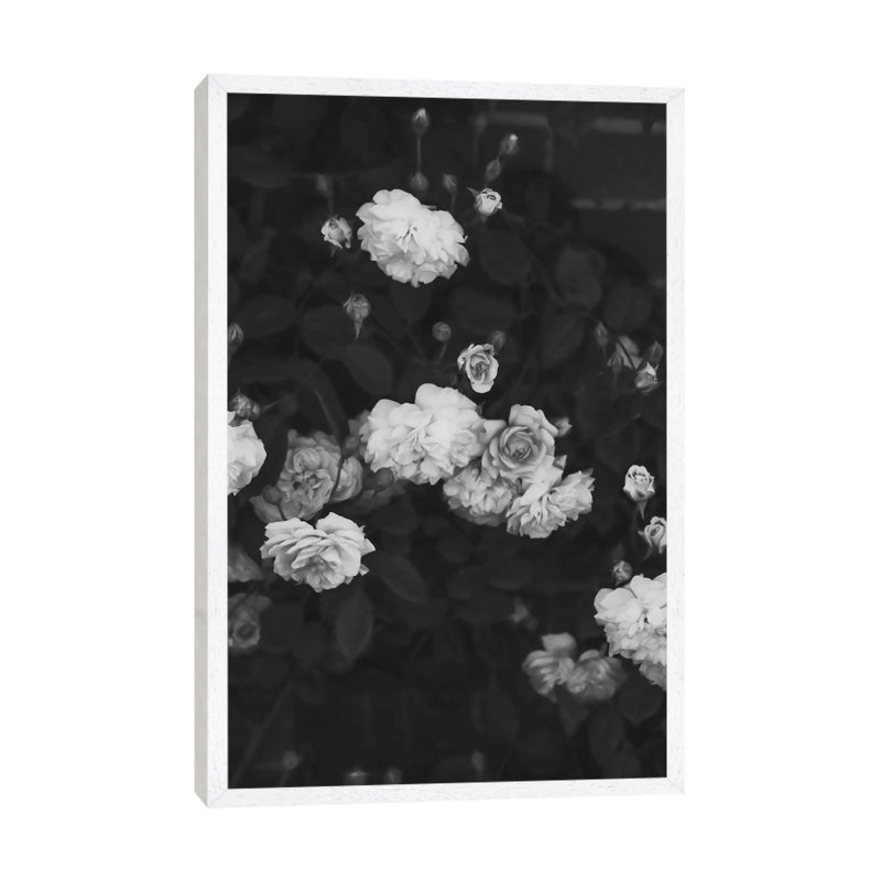 Black And White Roses - Print on Canvas, White Framed, 66.04cm H x 45.72cm W x 3.81cm D