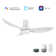 45" Arsi Smart DC Ceiling Fan with Light, Remote control