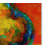 Kucera 'Pearsonal' Print on Wrapped Canvas-22073019