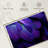 Brampt Purple Blue Macaw Feathers-108705502