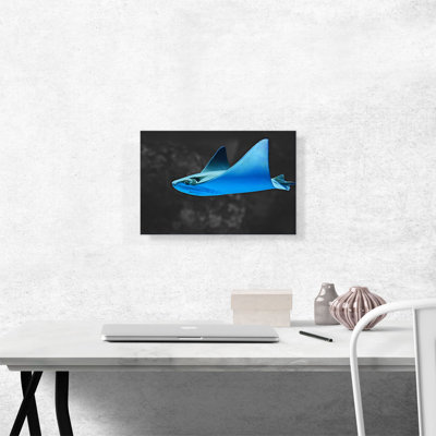 " Blue Stingray Manta Ray In The Ocean "