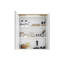 600mm W 720mm H Surface Framed Medicine Cabinet Mirror 2 Adjustable