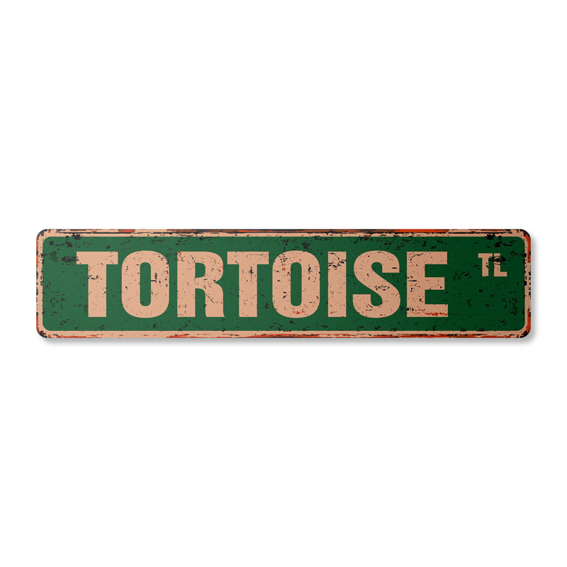 Plaque de rue tortue aluminium 4 po x 18 po