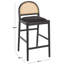 Laylie Rattan And Leather Counter Stool-1887483489