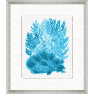 Cyan Coral " Cyan Coral Collection 7 " Painting Print
