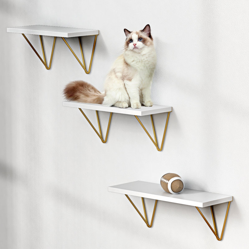 Legare 3 Piece Floating Shelf, White