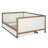 Size Upholstered Daybed With Trundle And Nailhead Decoration, Wood Color