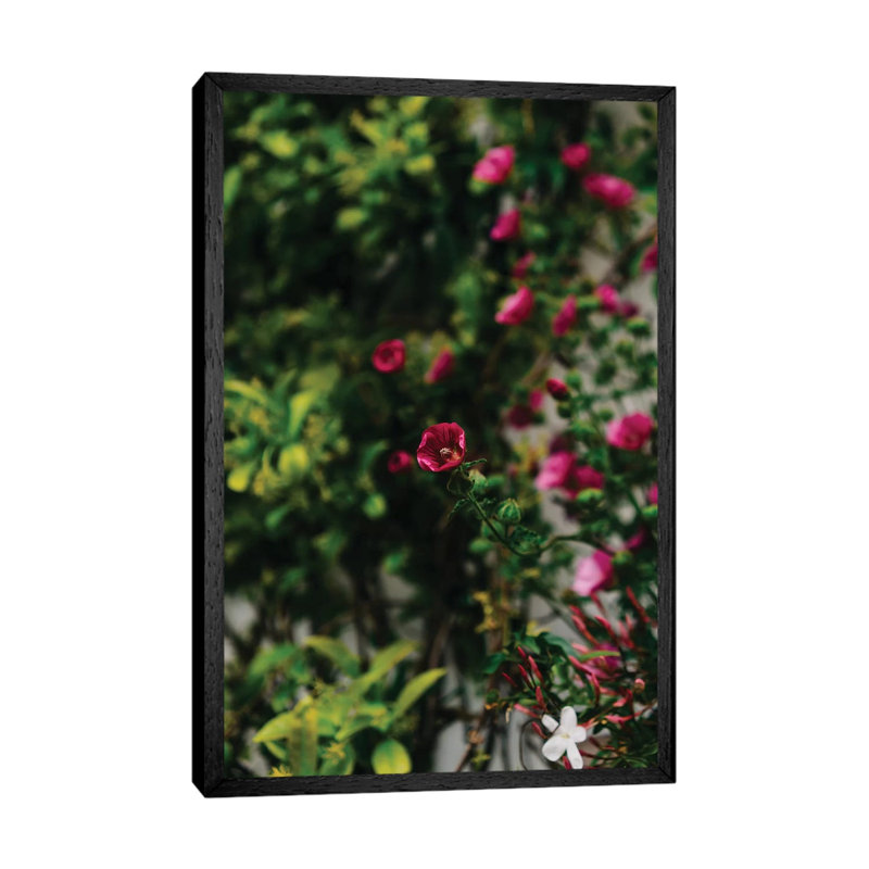 Positano Blooms IV by Bethany Young - Print on Canvas, 101.6cm H x 66.04cm W x 3.81cm D, Black Framed