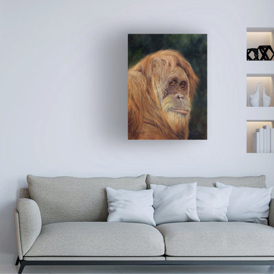 David Stribbling Orangutan Canvas Art
