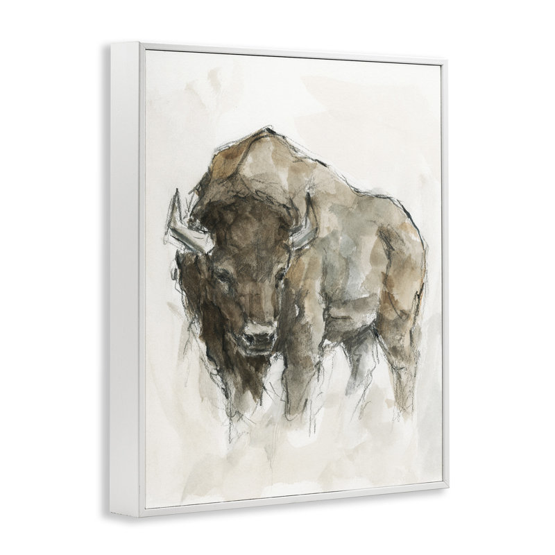 Buffalo Western American Brown Country Animal, Giclée encadrée blanc bord de mer, H 30 po x l 24 po