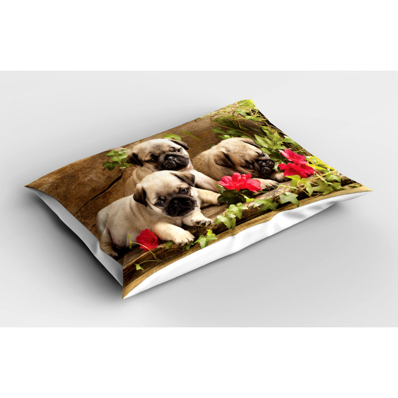 Polyester Sham Set, Twin