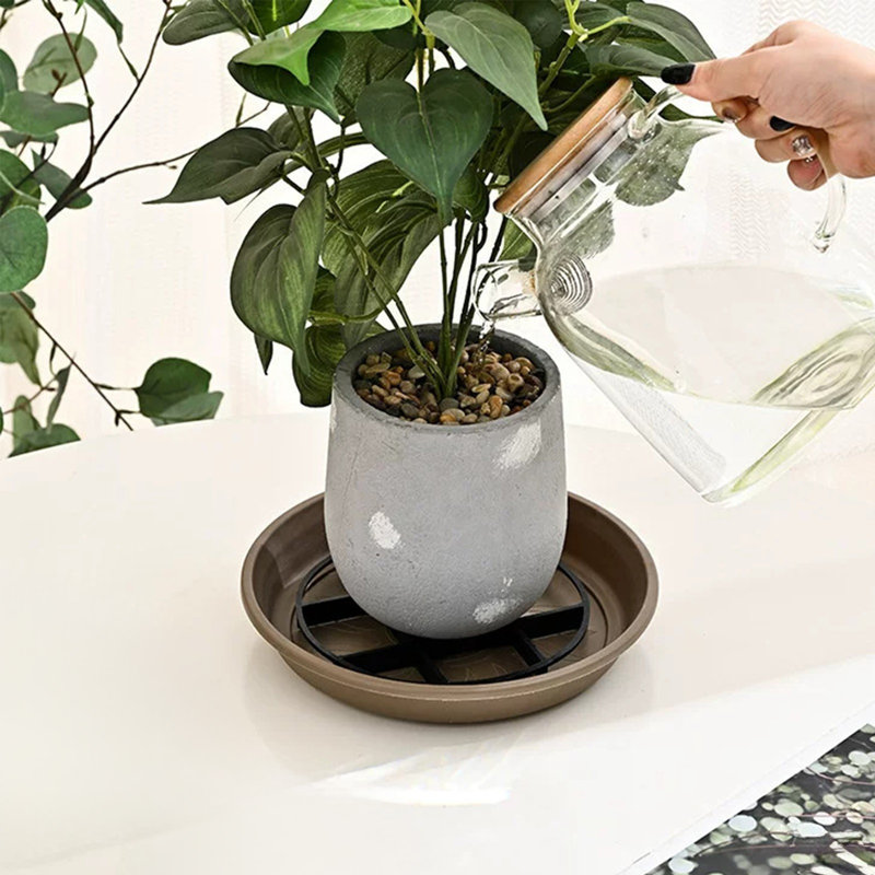 Plastic Plant Saucer