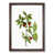 Walnut Framed