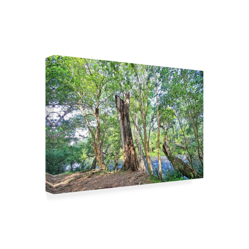 Art sur toile Beata Czyzowska Young «Summer Greens», H 22 po x l 32 po x P 2 po