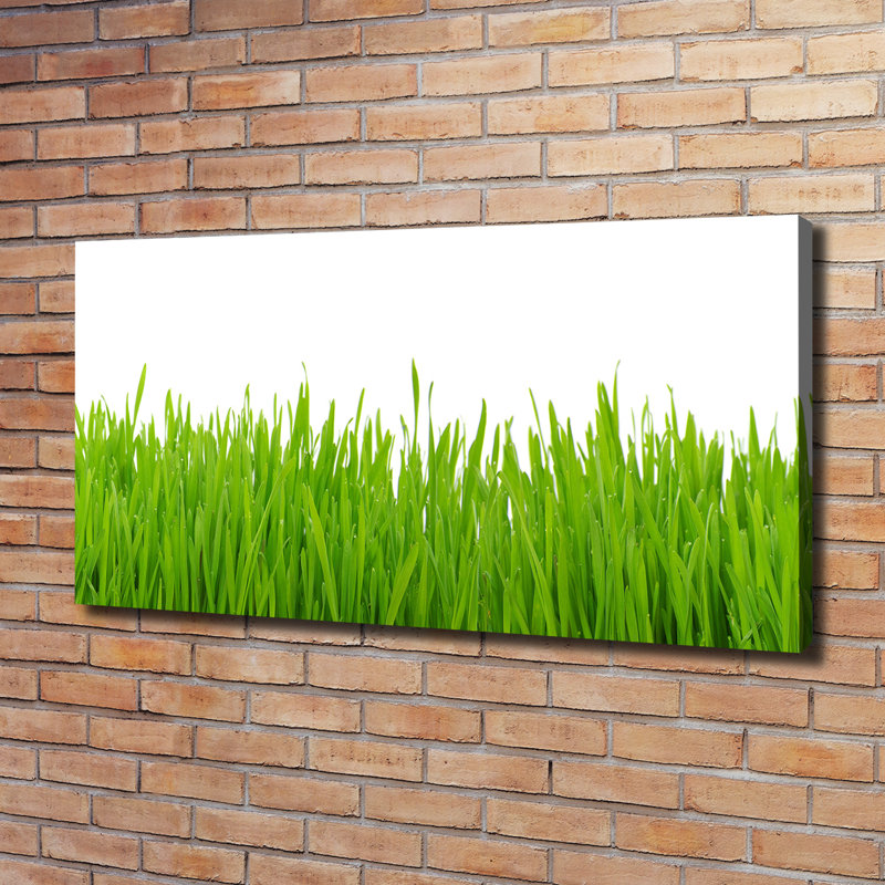 Grass - Wrapped Canvas Print