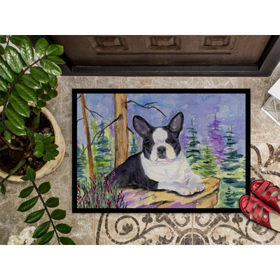 Non-Slip Indoor Doormat