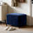 23.6" W Rectangle Upholstered Storage Ottoman-15519180
