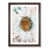 Walnut Framed