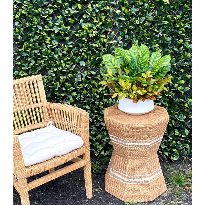 Outdoor Croton And Maranta Bush Arrangement In A Round Fiberstone Pot