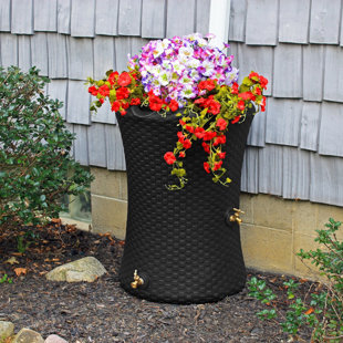 Baril d'eau de pluie 50 gallons Impressions