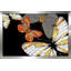 Fly In Gold (Horizontal) par By Jodi - impression-835128847-835128840