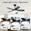 Ventilateur de plafond noir de 42 pouces avec lumière DEL de 22 W et moteur à courant continu réversible avec pales en panneau de fibres à densité moyenne-305831431-305831430