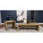 Brianna Mango Rectangular Engineered Wood Coffee Table
