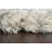 Loretta Abstract Indoor Rug-1942808333