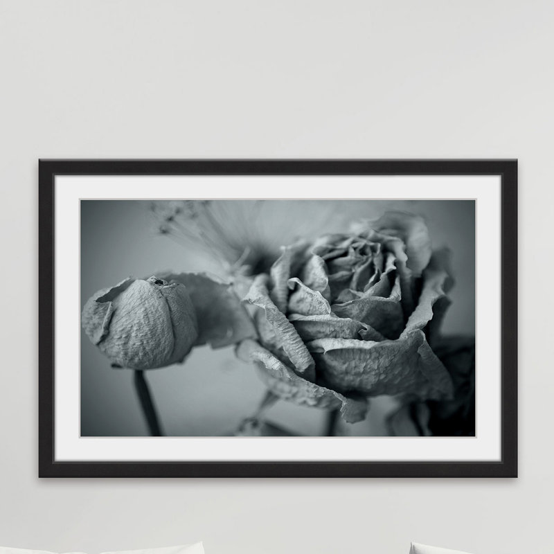 Judy Stalus - Single Picture Frame Print, 41cm H x 61cm W x 3.81cm D