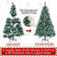 Green Spruce Flocked/Frosted Christmas Tree-1726872030