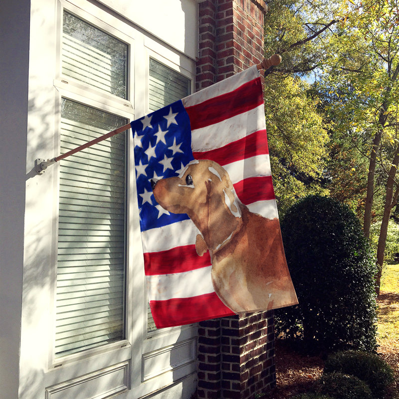 Drapeau de maison en polyester à 2 côtés Shahnur, Teckel brun clair