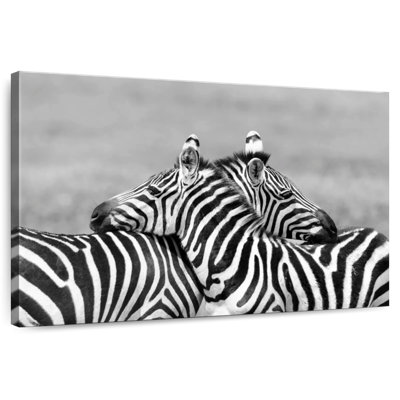 Brampt Loving Zebras