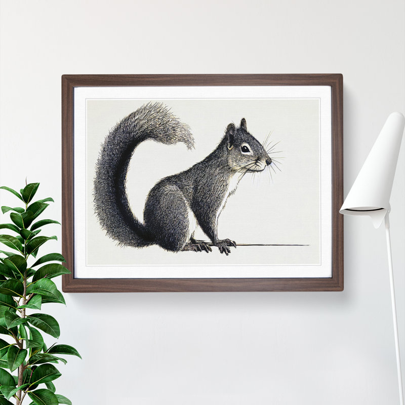 A Pleasant Squirrel - Single Picture Frame Print, 34cm H x 46cm W x 2cm D, Walnut Framed