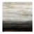 Plexi