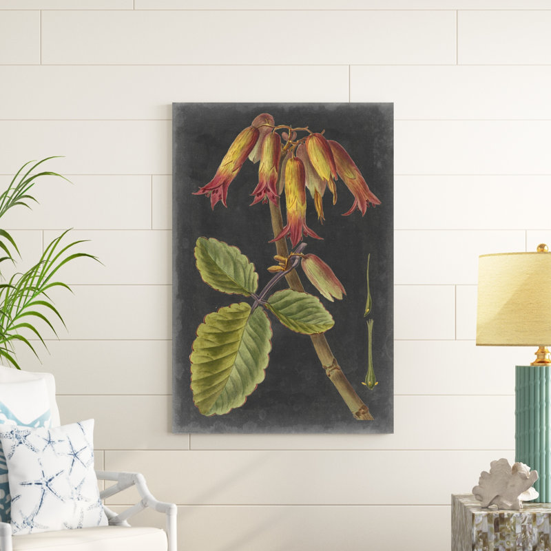 Dramatic Tropicals III, H 48 po x l 32 po x P 1,25 po
