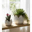 Sagebrook Home 2-Pieces Petal Planters, White-1839343014-1830942932