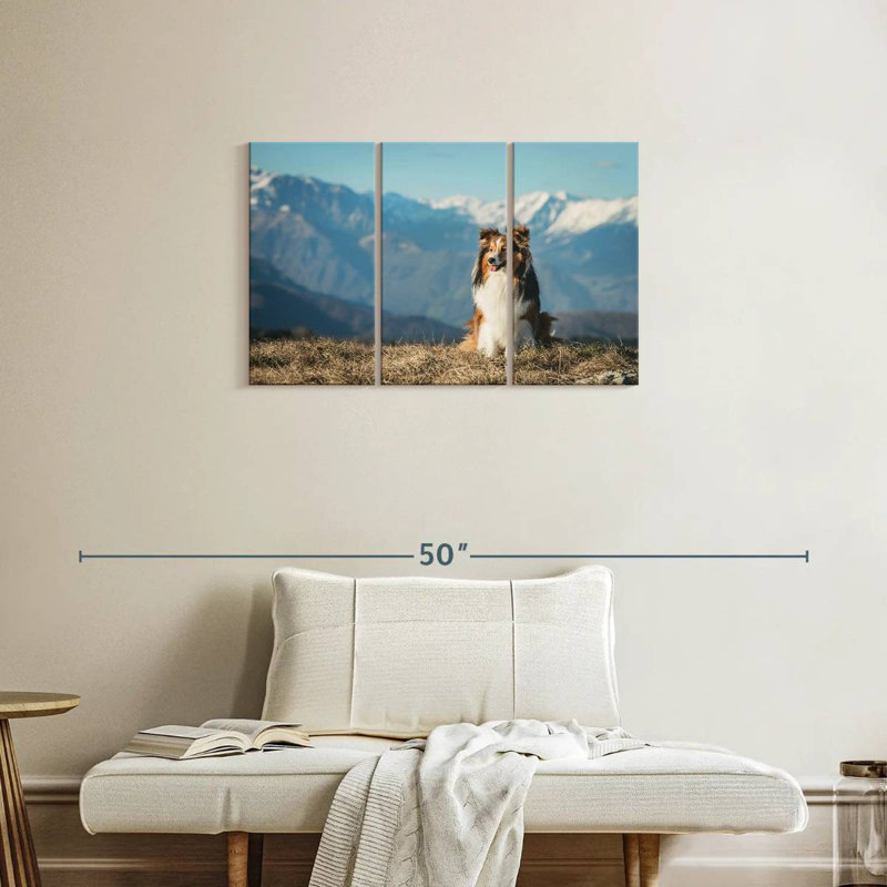 Brampt Shetland Sheepdog, 20" H x 33" W