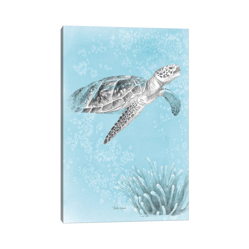 Coastal Sea Life I V2 by Beth Grove - Wrapped Canvas Gallery-Wrapped Canvas Giclée, 101.6 cm H x 66.04 cm W x 1.91 cm D