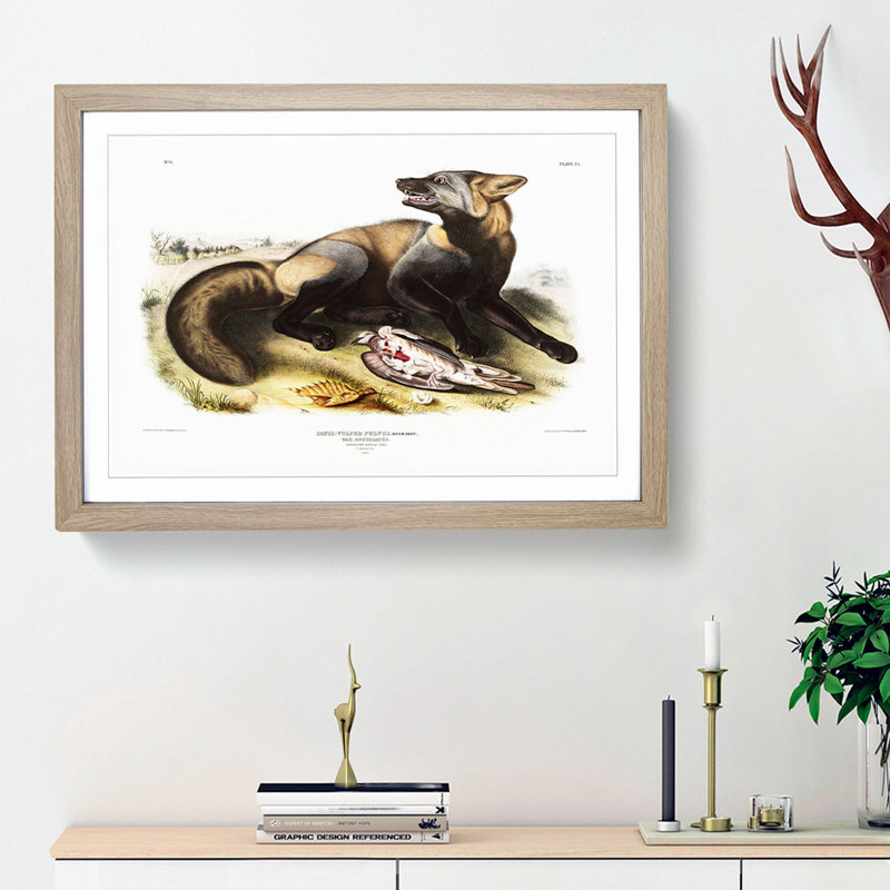 American Cross-Fox by J.W. Audubon - Picture Frame Painting Print, 36cm H x 48cm W x 2cm D, Oak Framed