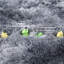 Washable Area Rug-1594832472-1594832476
