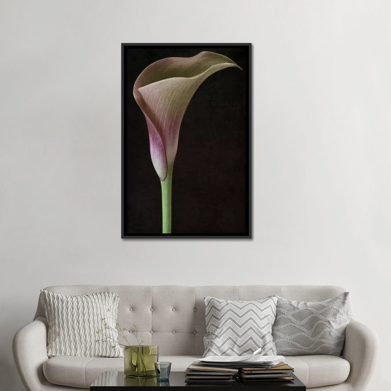Calla Lily II, reproduction sur toile, H 26 po x l 18 po x P 1,5 po, Toile avec cadre noir, Pas de tapis