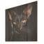 Oriental Elegance noir, portrait de chat I - art mural en bois sur bois de pin naturel-1231938504