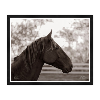 Horse Profile Print by Tim Klein