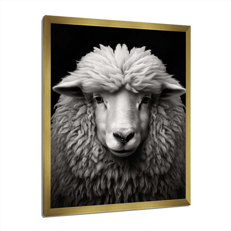 Gris, mouton blanc, noir et blanc - animaux, reproduction sur toile, Encadrement doré, H 32 po x l 24 po x P 1 po