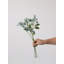 Mini paquet Meadow Daisy - 19,7 po-1503748732-1503748730